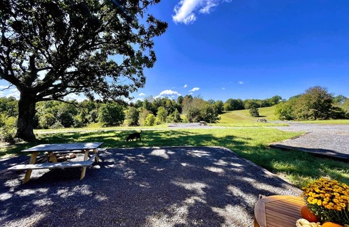 Marshall Alquiler De RV | Couples Glamping Tent Near the Buffalo River