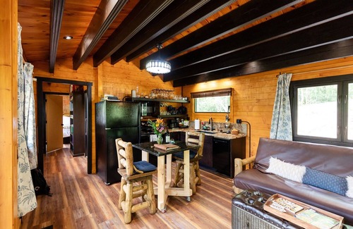 Brevard Cabina | Couples Romantic Getaway!! Mountain Log Cabin with Hot Tub & Fireplace.