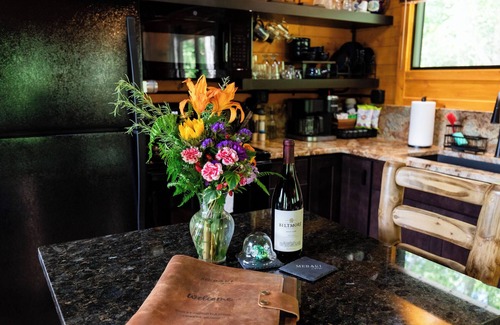 Brevard Cabina | Couples Romantic Getaway!! Mountain Log Cabin with Hot Tub & Fireplace.