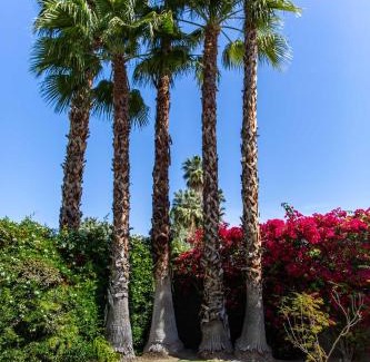 Araby Casa | Covered Patio, Pool and Games Home in Palm Springs