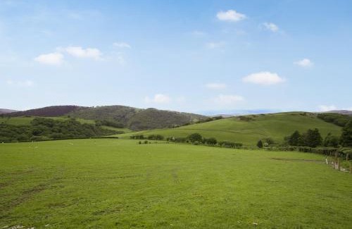 Machynlleth Casa | Cowlas