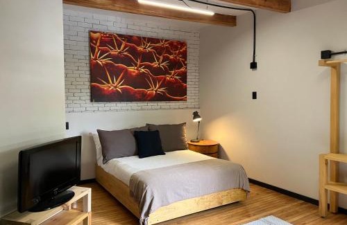 Coyoacán Apartamento | Coyoacan historico, museo Frida.