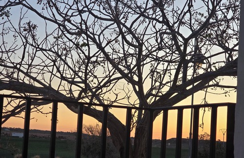Sucina Apartamento | Coziness trumps all at Casa Gusto at Spain's Hacienda Requilme Golf resort.