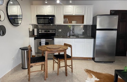 Candelero Abajo Apartamento | Cozy 1-bedroom apartment in charming Palmas del Mar walking distance to beach!