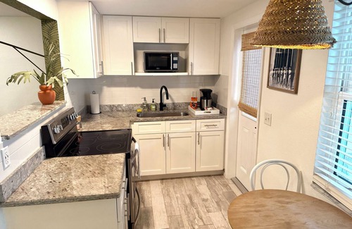 Downtown Dunedin Apartamento | Cozy 1-bedroom apartment in charming Dunedin 2 min walk from downtown