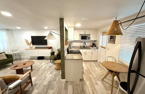 Downtown Dunedin Apartamento | Cozy 1-bedroom apartment in charming Dunedin 2 min walk from downtown