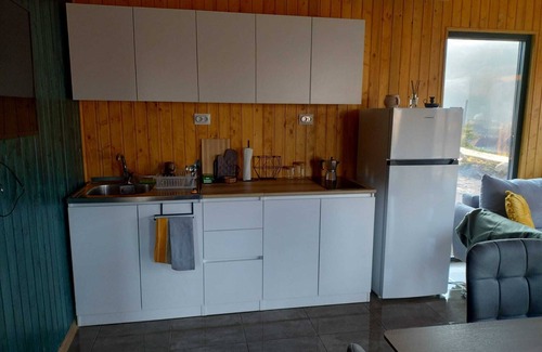 Suncuius Chalet De Esquí | Cozy 1-bedroom chalet with WiFi, AC in charming Șuncuiuș