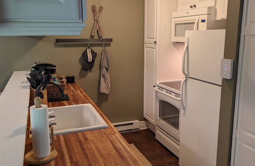 Nellysford Condominio | Cozy 1 Bedroom Condo Off 12th Hole at Devil's Knob Golf Course