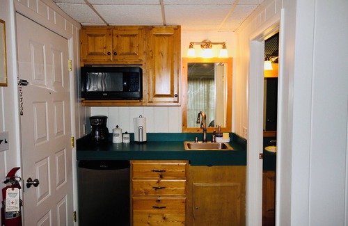 Bellaire Apartamento | Cozy 1-bedroom studio in Bellaire-Skiing, Tubing, Golf, Lakes!