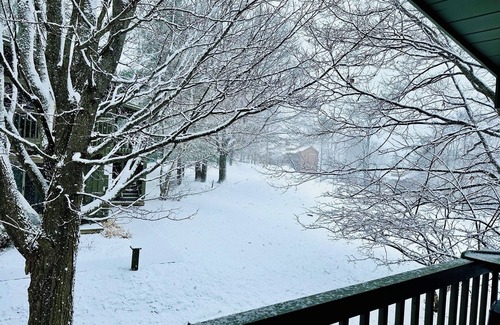 Bellaire Apartamento | Cozy 1-bedroom studio in Bellaire-Skiing, Tubing, Golf, Lakes!