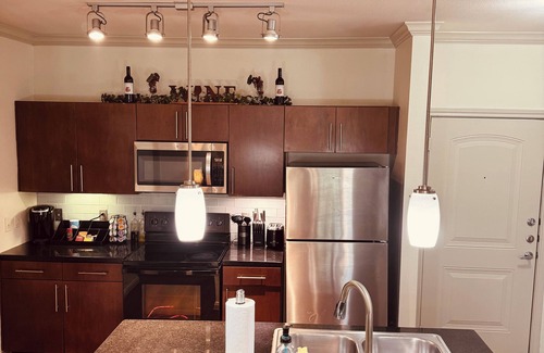South Main Apartamento | Cozy 2-bedroom/2Bath apartment in med Center/NRG