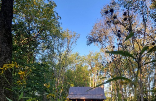 Gambier Cabina | Cozy 2-bedroom cabin in near Gambier, peaceful woodland setting