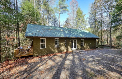 Ellijay Cabina | Cozy 2-bedroom HILLTOP COTTAGE in peaceful Ellijay with AC, WiFi