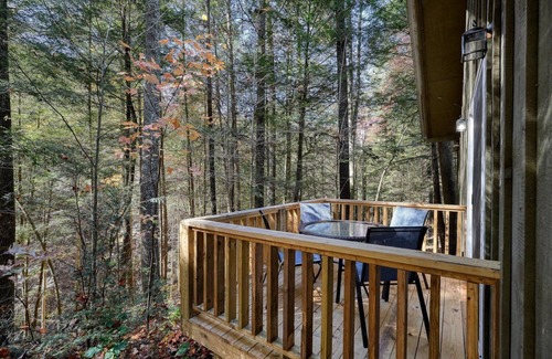 Ellijay Cabina | Cozy 2-bedroom HILLTOP COTTAGE in peaceful Ellijay with AC, WiFi