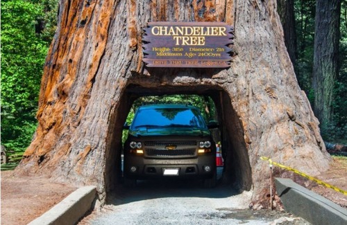 McKinleyville Casa | Cozy 2 bedroom in the Coastal Redwoods