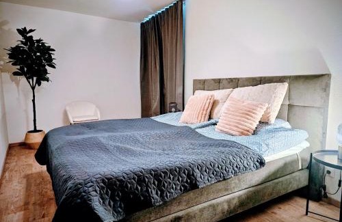 Innenstadt Apartamento | Cozy 2-room apartment in the historic cathedral district