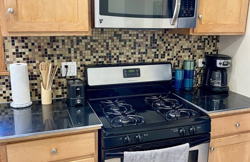 Lower West Side Apartamento | Cozy 2BR haus inn Pilsen with patio and fire pit 🔥