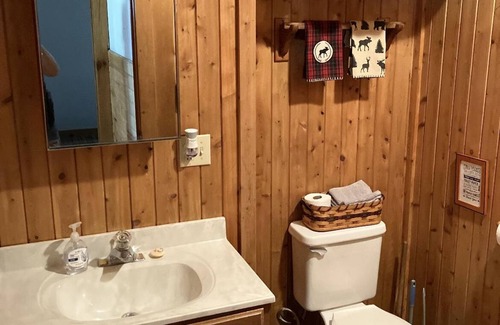 Manistique Cabina | Cozy 3-bedroom cabin in peaceful Manistique on Indian Lake with wifi and cable