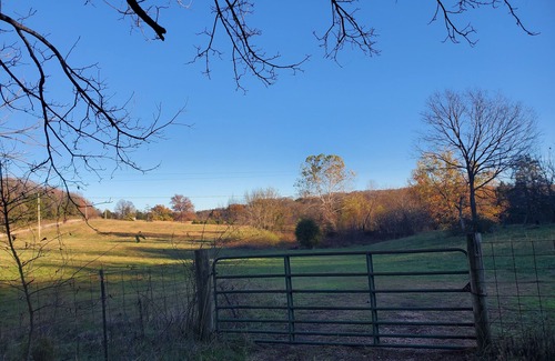 Powell Casa | Cozy 3 bedroom house with cabin vibes and a beautiful view