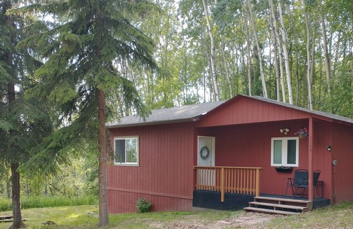 Fairbanks Cabina | Cozy Alaskan Cabin, with rare Northern Lights views...