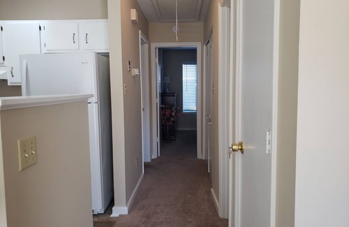 Jacksonville Apartamento | Cozy and Cute apartment near Camp Lejeune (109)