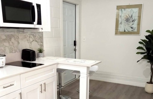 Longwood Apartamento | Cozy and Modern Studio suite in Longwood