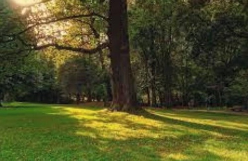DeKalb County Casa | Cozy and Private Apartment in Atlanta Suburbs