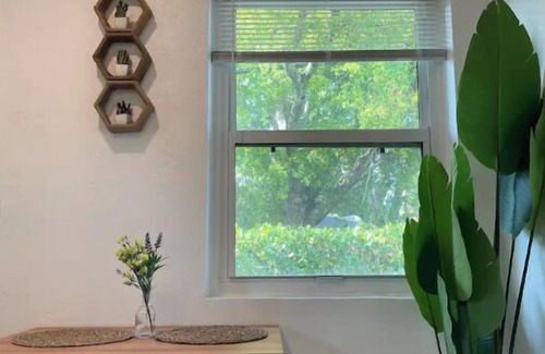 Northeast Miami Apartamento | COZY AND RELAXING MINI STUDIO IN CENTRAL MIAMI!