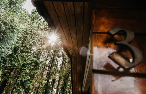Krachtighuizen Cabaña | Cozy and romantic forest house at Veluwe