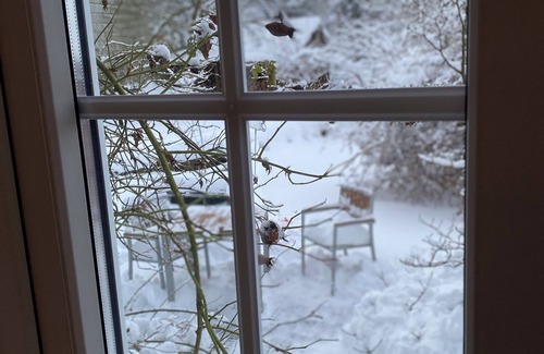 Clausthal-Zellerfeld Apartamento | Cozy and spacious apartment in the idyllic Harz Mountains