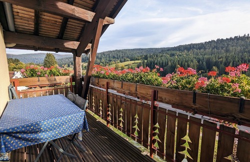 Le Grand Valtin Apartamento | Apartamento acogedor cerca de Gerardmer y del Valtin con wifi, balcón y trampolín