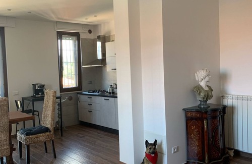 Marino Apartamento | Cozy apartment 2 steps from Rome finely renovated and equipped