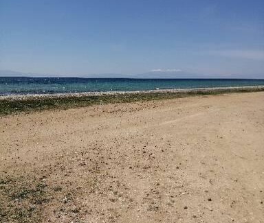 Paralia Dionysiou Apartamento | Cozy apartment by the sea