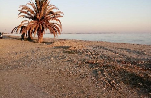 Paralia Dionysiou Apartamento | Cozy apartment by the sea