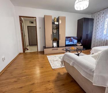 Pitesti Apartamento | Cozy Apartment Craiovei