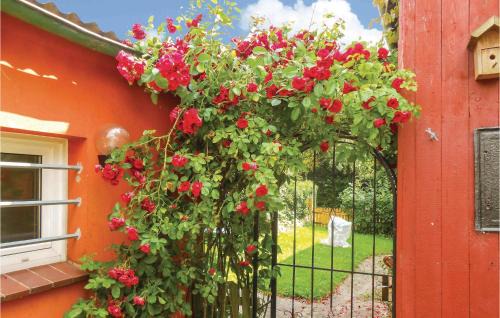 Fluggendorf Apartamento | Cozy Apartment In Flüggendorf With Wifi