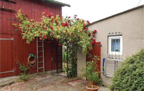 Fluggendorf Apartamento | Cozy Apartment In Flüggendorf With Wifi
