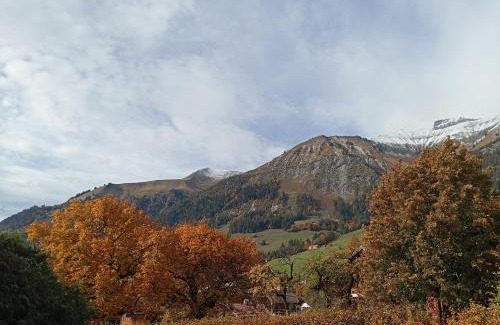Chateau-d'Oex Apartamento | Cozy apartment in the heart of the Alps