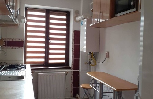 Suceava Apartamento | Cozy apartment, located near a vibrant main street ideal for short term retreat