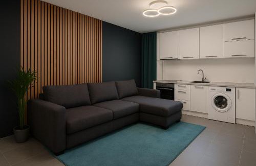 Tirgu Mures Apartamento | Cozy Apartment Mureseni