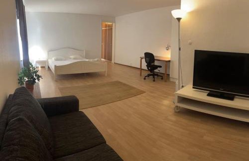 Malung-Salen Municipality Apartamento | Cozy apartment