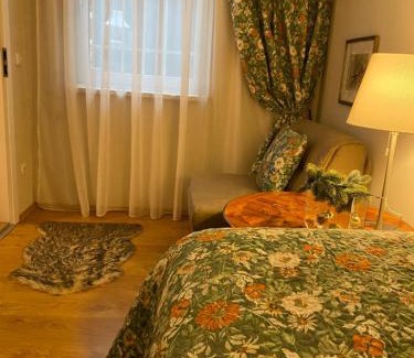 Steyr Apartamento | Cozy Apartment Steyr Mitte, ruhig, Parkplatz, Terasse, 2 Schlafzimmer, WLAN