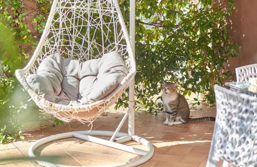 Orahovac Apartamento | Cozy Apartment with Garden