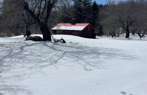 East Dover Apartamento | Cozy apt in beautiful secluded spot 15 mins from Mt Snow