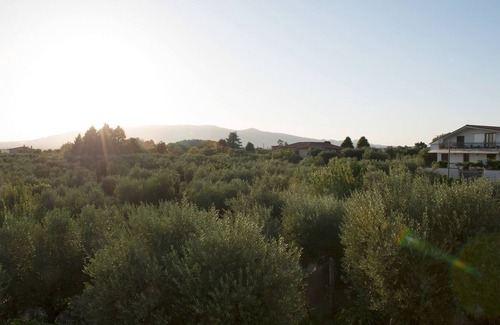 Giulianello Cama Y Desayuno | Cozy B&B in the countryside with BBQ area and swimming-pool - Pet-friendly
