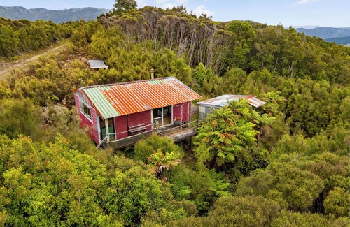 Eketahuna Cabina | Cozy back country hunting cabin. Peace, quiet and miles of bush.