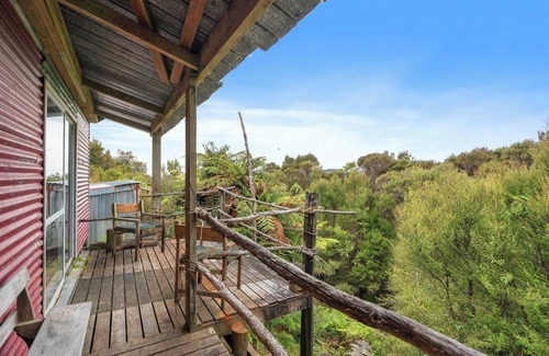Eketahuna Cabina | Cozy back country hunting cabin. Peace, quiet and miles of bush.