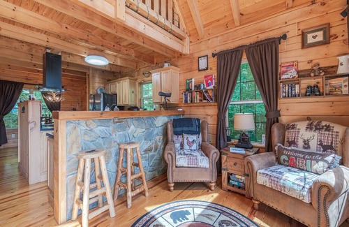 Waynesville Cabina | Cozy Bear Cabin 3 BD 3 BA Private Cabin VIEWS, Expansive Decking, Pool Table