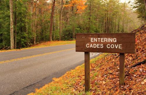Sevierville Casa | Cozy Bear, Free Attraction Tickets, Hot Tub, WIFI, Fireplace!