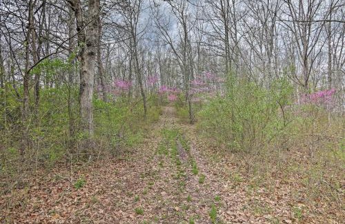 Bidwell Casa | Cozy Bidwell Cabin with Deck Trail and Creek Access!